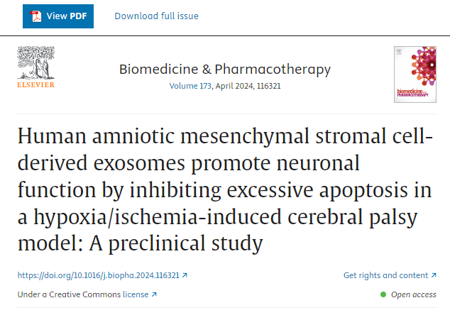 人羊膜間充質(zhì)干細胞來源的外泌體通過抑制缺氧/缺血誘導的腦癱模型中的過度細胞凋亡來促進神經(jīng)元功能：一項臨床前研究