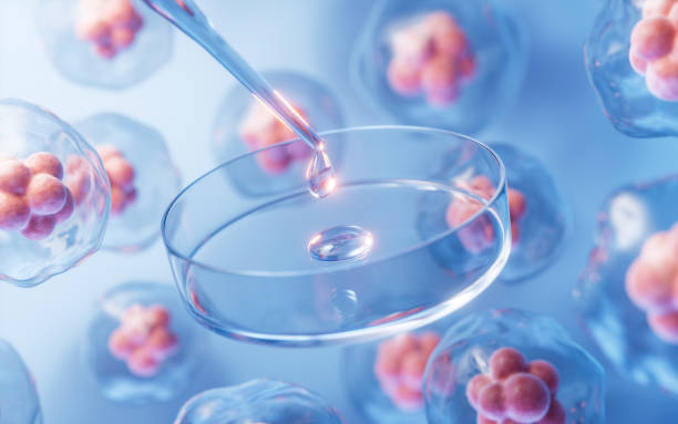 靜脈注射間充質(zhì)干細(xì)胞是安全的嗎？一項(xiàng)包含2504名受試者的研究給出了答案！