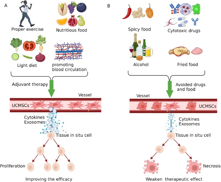 圖3：臍帶間充質干細胞治療期間應避免輔助療法、藥物及食物。