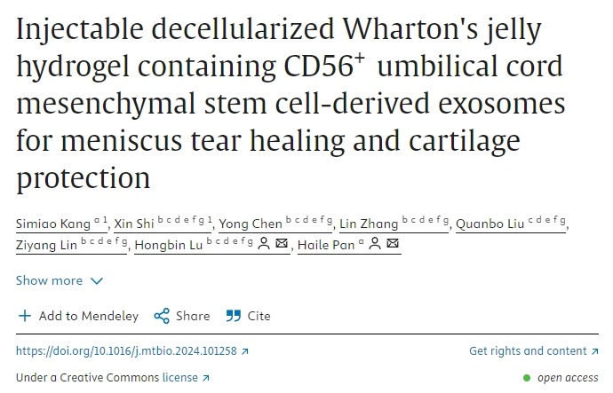 含有CD56+臍帶間充質(zhì)干細(xì)胞衍生外泌體的可注射脫細(xì)胞華通氏膠水凝膠用于半月板撕裂愈合和軟骨保護(hù) 含有CD56+臍帶間充質(zhì)干細(xì)胞衍生外泌體的可注射脫細(xì)胞華通氏膠水凝膠用于半月板撕裂愈合和軟骨保護(hù)