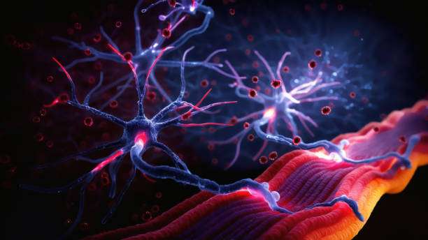 面對(duì)眾說紛紜的干細(xì)胞治療帕金森病，我們的期望是什么？