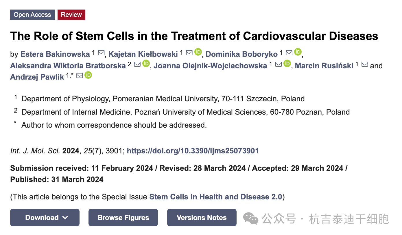 干細(xì)胞在心血管疾病治療中的作用