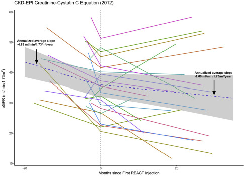 圖1：eGFR（肌酐和胱抑素 C，2012CKD-EPI）對SRC注射的反應。