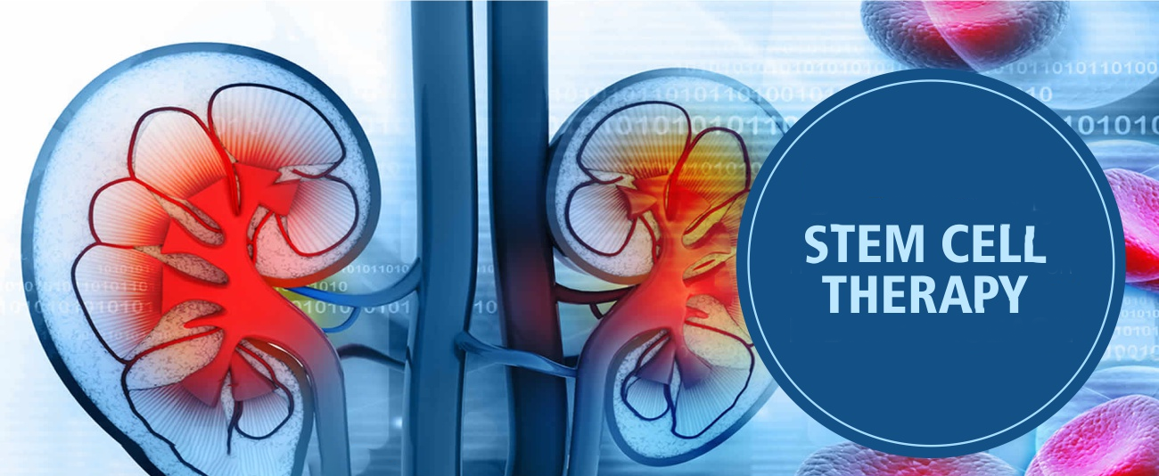 干細胞治療腎臟疾病的6大原理機制，您都了解嗎？