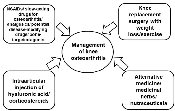 圖2：膝骨關(guān)節(jié)炎的當前治療策略。
