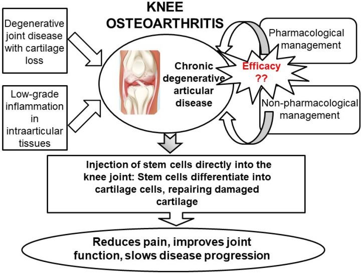 圖5：關(guān)節(jié)內(nèi)注射干細胞再生膝關(guān)節(jié)軟骨作為膝關(guān)節(jié)骨關(guān)節(jié)炎治療選擇的總結(jié)。