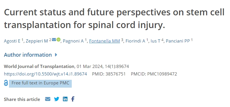 干細胞移植治療脊髓損傷的現(xiàn)狀及未來前景