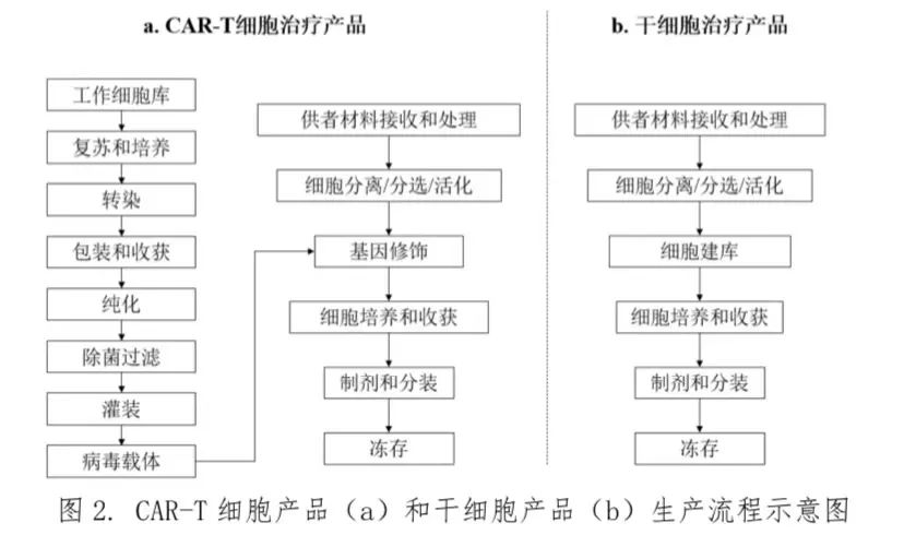 圖2.CAR-T細(xì)胞產(chǎn)品(a)和干細(xì)胞產(chǎn)品(b)生產(chǎn)流程示意圖 圖2.CAR-T細(xì)胞產(chǎn)品(a)和干細(xì)胞產(chǎn)品(b)生產(chǎn)流程示意圖