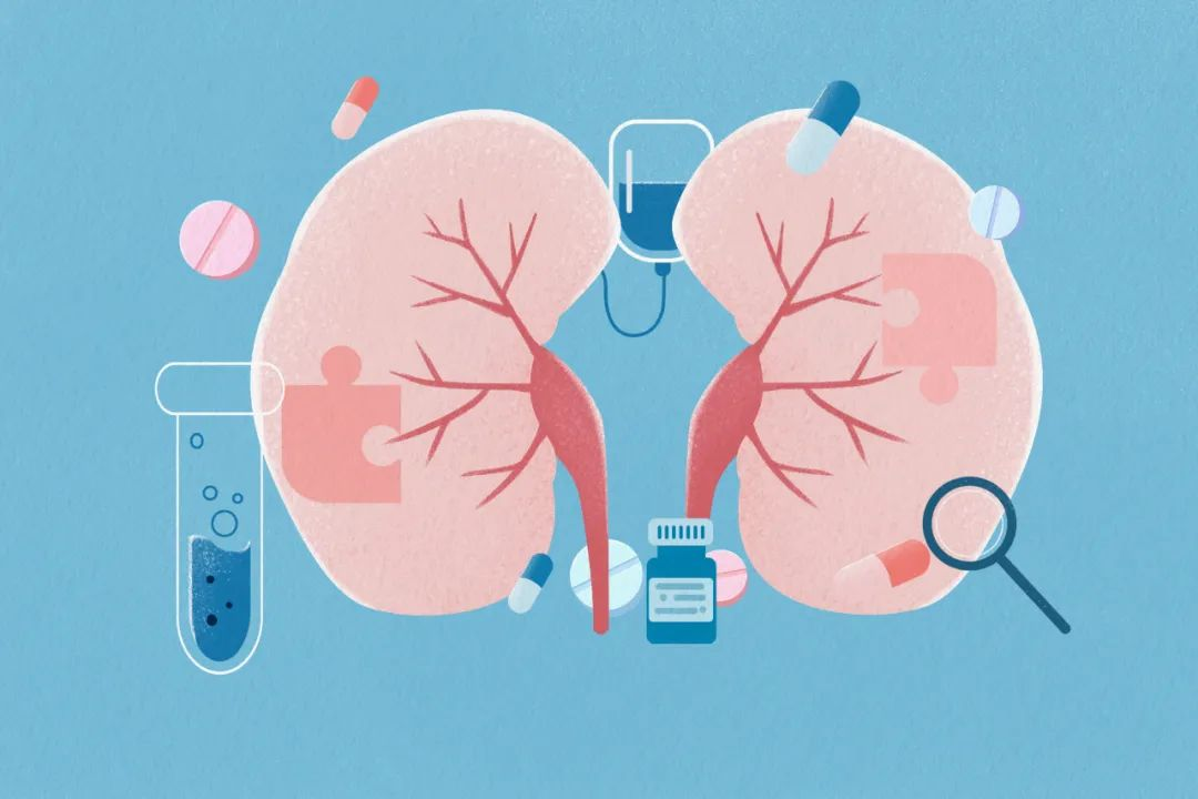 直擊腎科難題！解密干細胞如何重塑腎病患者腎小球濾過率