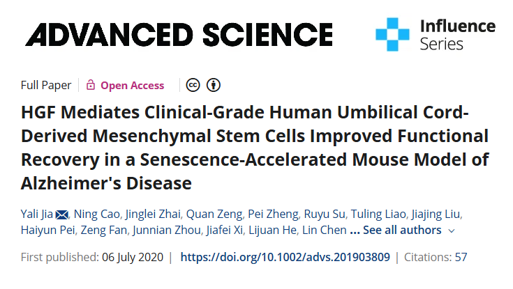 HGF 介導(dǎo)臨床級(jí)人臍帶間充質(zhì)干細(xì)胞改善阿爾茨海默病衰老加速小鼠模型的功能恢復(fù)
