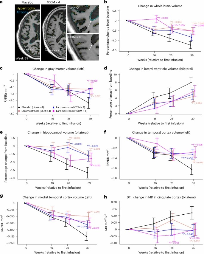 使用 laromestrocel 與使用安慰劑治療的 AD 患者的體積 MRI 評(píng)估。