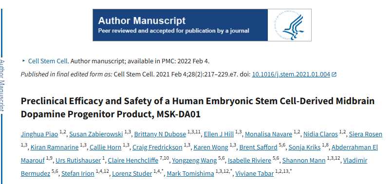 人類胚胎干細胞衍生的中腦多巴胺祖細胞產(chǎn)品 MSK-DA01 的臨床前療效和安全性