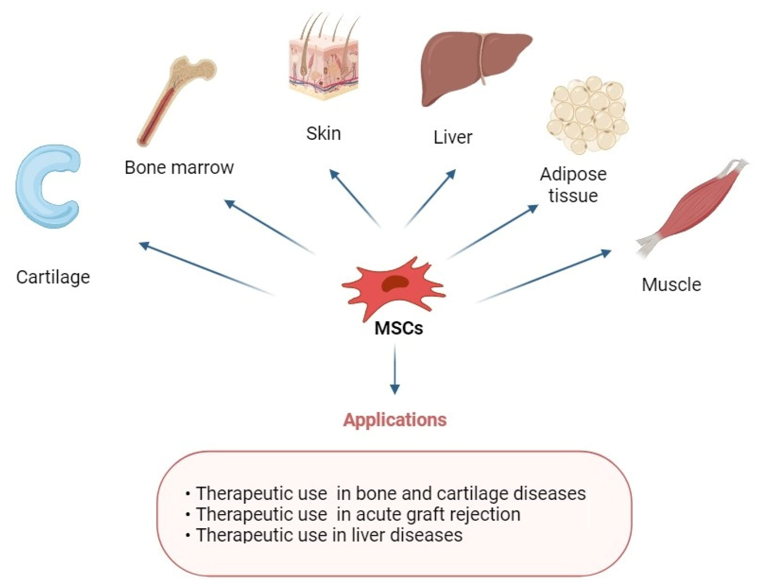 圖1:具有多重分化潛能的MSCs在修復(fù)各種組織中的應(yīng)用。 圖1:具有多重分化潛能的MSCs在修復(fù)各種組織中的應(yīng)用。