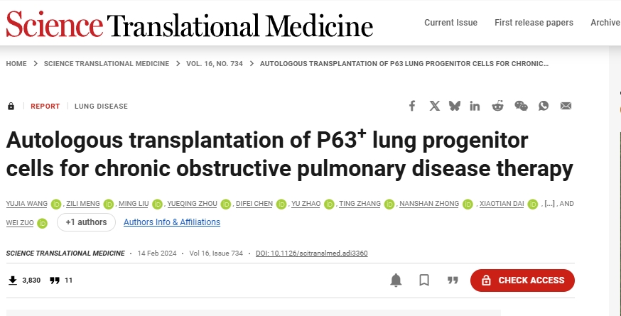 自體P63+肺祖細(xì)胞移植治療慢性阻塞性肺病 自體P63+肺祖細(xì)胞移植治療慢性阻塞性肺病