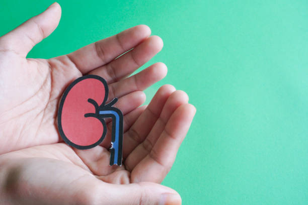 自體vs異體：不同來(lái)源的干細(xì)胞治療腎病患者的安全性有區(qū)別嗎？