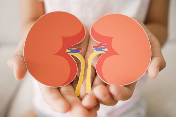 間充質(zhì)干細(xì)胞治療腎臟疾?。赫娴陌踩珕?？