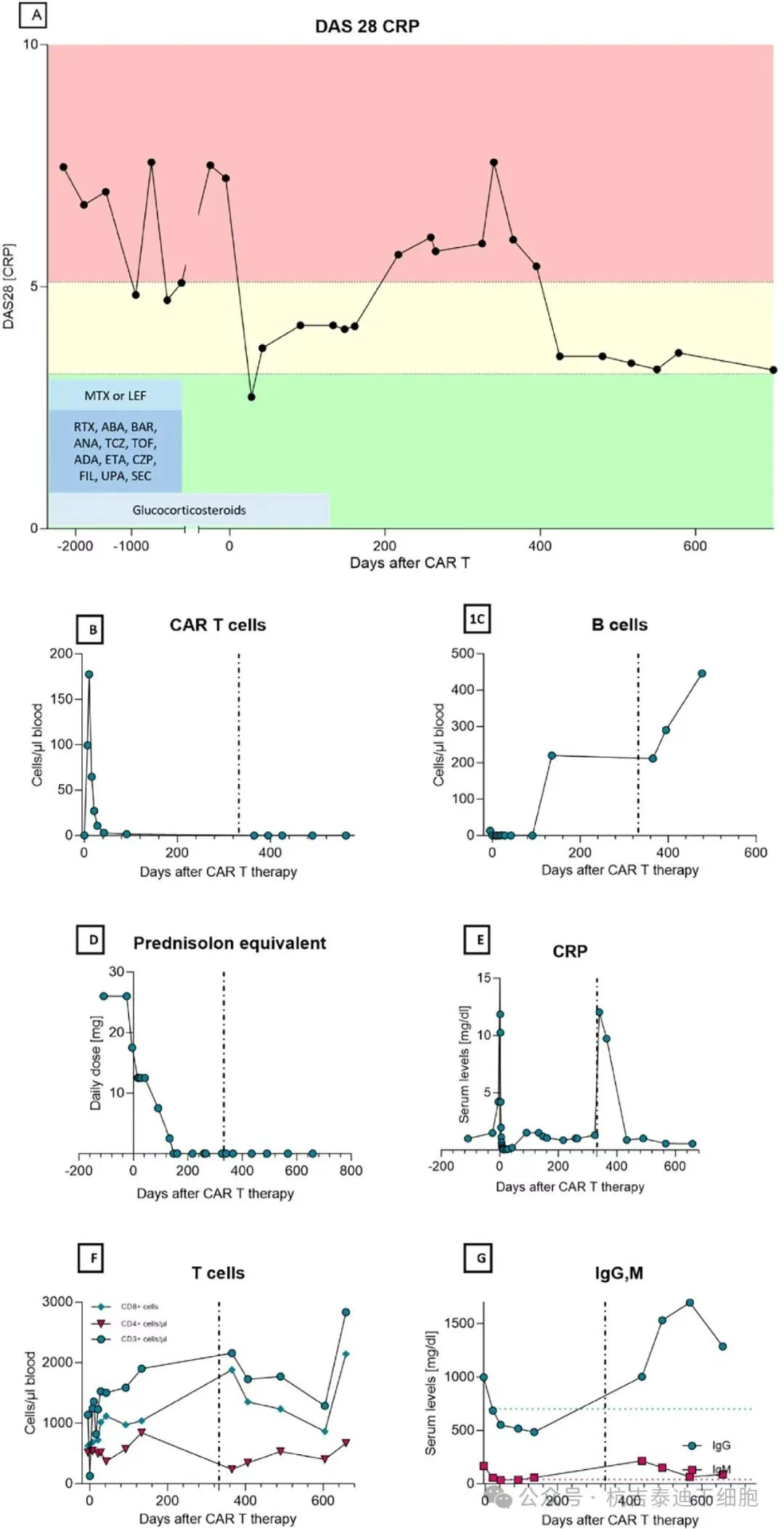 圖1：通過DAS28和依次給予的伴隨藥物測量的CAR-T細胞療法和HSCT在RA疾病活動性方面的結果