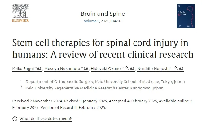 人類脊髓損傷的干細胞療法：近期臨床研究進展與轉化路徑分析