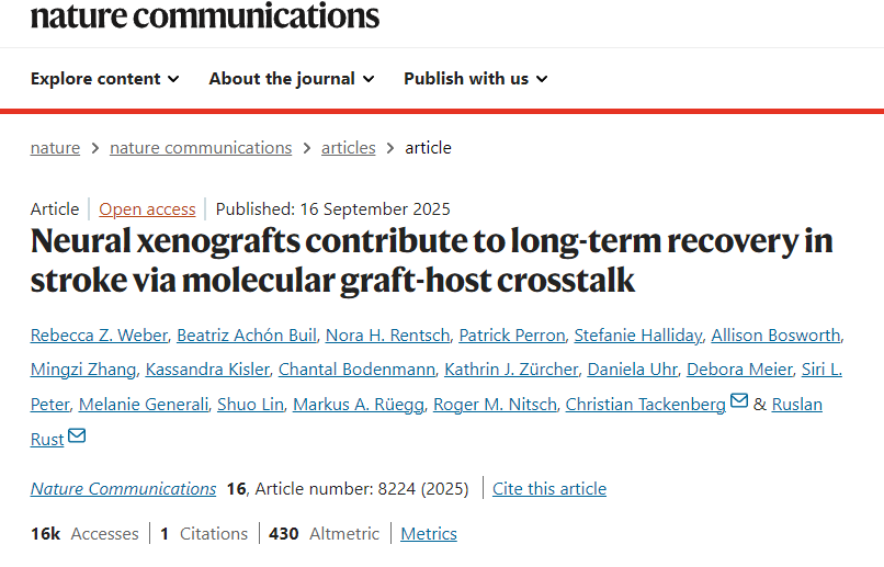 神經異種移植通過分子移植物-宿主相互作用促進中風后的長期康復 神經異種移植通過分子移植物-宿主相互作用促進中風后的長期康復