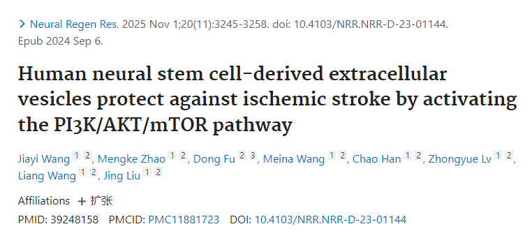 人類神經(jīng)干細胞來源的細胞外囊泡通過激活PI3K/AKT/mTOR通路發(fā)揮抗缺血性卒中的保護作用 人類神經(jīng)干細胞來源的細胞外囊泡通過激活PI3K/AKT/mTOR通路發(fā)揮抗缺血性卒中的保護作用
