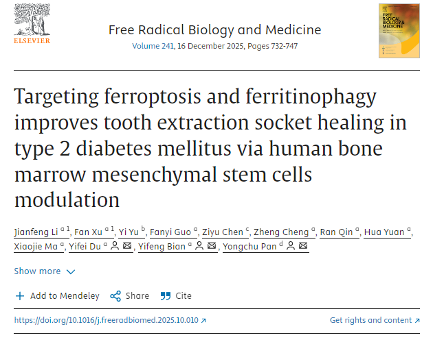 通過調(diào)控人骨髓間充質(zhì)干細(xì)胞，靶向鐵死亡和鐵蛋白自噬可改善2型糖尿病患者拔牙窩的愈合。
