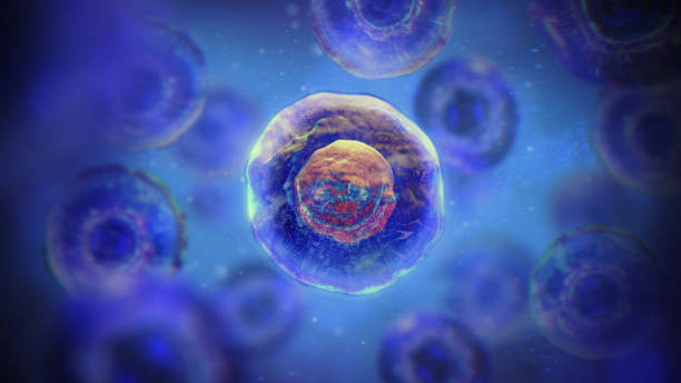 間充質(zhì)干細(xì)胞一針多少錢？2025年價(jià)格全景圖與避坑指南