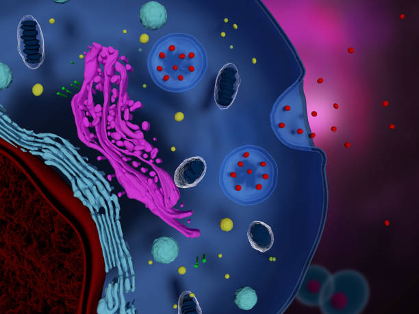 什么是間充質(zhì)干細(xì)胞外泌體-治療機(jī)制-為何未大規(guī)模臨床應(yīng)用？
