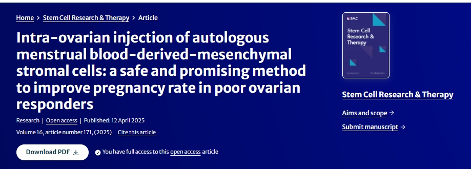 卵巢內(nèi)注射自體月經(jīng)血來源的間充質(zhì)基質(zhì)細胞:一種安全且有前景的提高卵巢反應(yīng)不佳者妊娠率的方法 卵巢內(nèi)注射自體月經(jīng)血來源的間充質(zhì)基質(zhì)細胞:一種安全且有前景的提高卵巢反應(yīng)不佳者妊娠率的方法