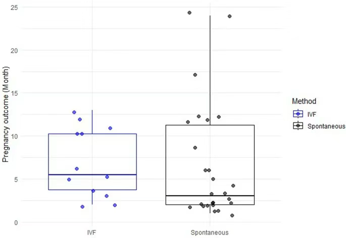 干細胞注射后每月的妊娠結(jié)局分布 干細胞注射后每月的妊娠結(jié)局分布