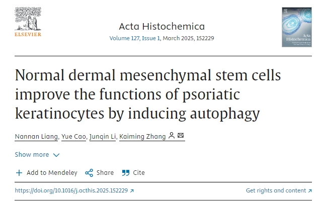 正常真皮間充質(zhì)干細胞通過誘導(dǎo)自噬改善銀屑病角質(zhì)形成細胞的功能
