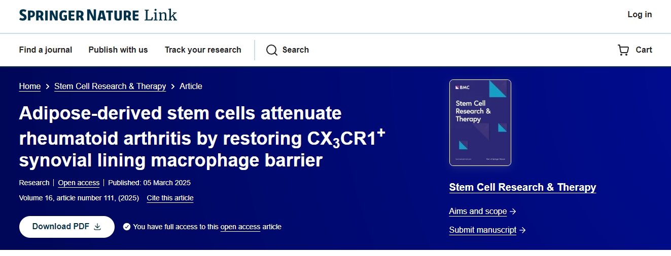 脂肪干細(xì)胞通過恢復(fù) CX3CR1+滑膜內(nèi)層巨噬細(xì)胞屏障減輕類風(fēng)濕性關(guān)節(jié)炎