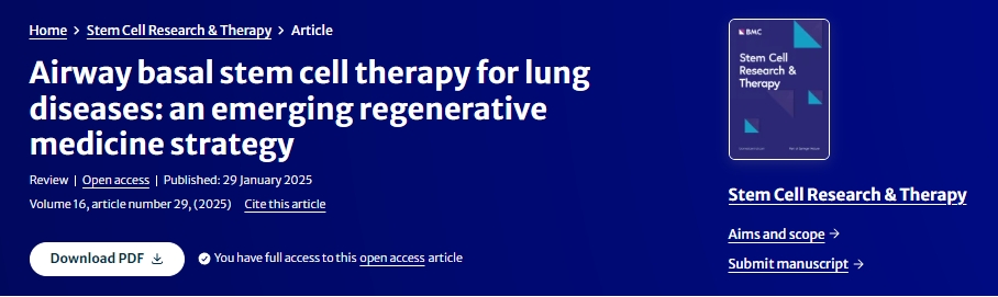 氣道基礎(chǔ)干細胞治療肺部疾?。阂环N新興的再生醫(yī)學策略