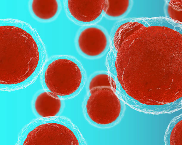 異體干細(xì)胞移植排異反應(yīng)概率有多大全解析：從40%高風(fēng)險(xiǎn)到9.1%的生存革命