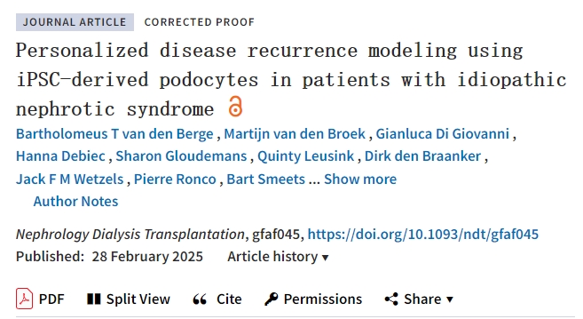 使用 iPSC 衍生的足細胞對特發(fā)性腎病綜合征患者進行個性化疾病復發(fā)建模