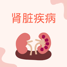 干細(xì)胞治療腎病：什么時(shí)候進(jìn)入臨床？