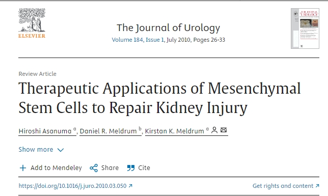 間充質(zhì)干細(xì)胞在修復(fù)腎臟損傷的治療應(yīng)用
