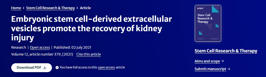 胚胎干細(xì)胞來源的細(xì)胞外囊泡促進(jìn)腎臟損傷的恢復(fù)