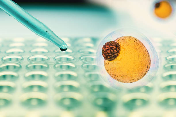 人工干細(xì)胞治療腎病的臨床應(yīng)用 人工干細(xì)胞治療腎病的臨床應(yīng)用