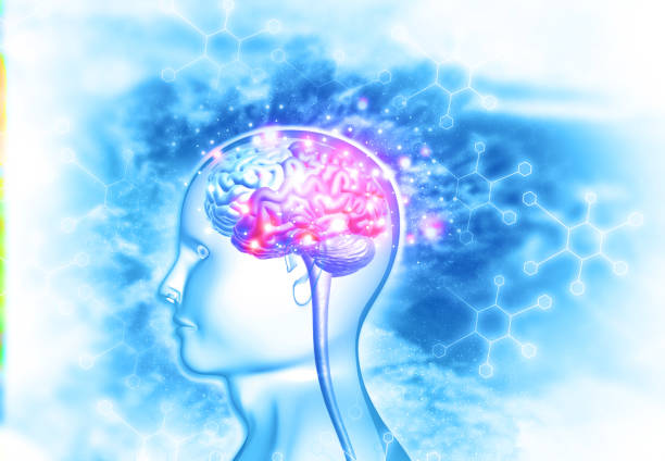 腦出血治療新希望：間充質(zhì)干細胞治療臨床安全有效？最新證據(jù)來了