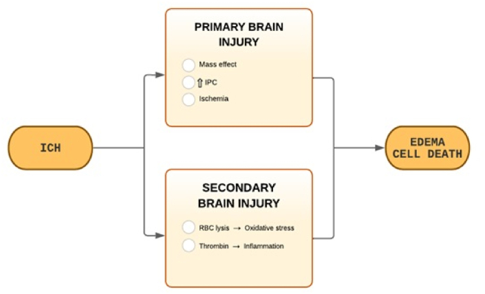 圖1：ICH病理生理學(xué)。