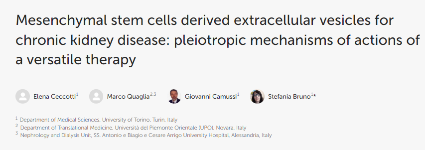 間充質(zhì)干細胞衍生的細胞外囊泡用于治療慢性腎臟?。憾喙δ墀煼ǖ亩嘈ё饔脵C制 間充質(zhì)干細胞衍生的細胞外囊泡用于治療慢性腎臟病:多功能療法的多效作用機制