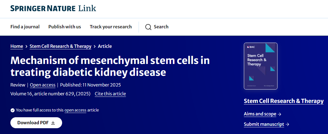 間充質(zhì)干細胞治療糖尿病腎病的機制 間充質(zhì)干細胞治療糖尿病腎病的機制