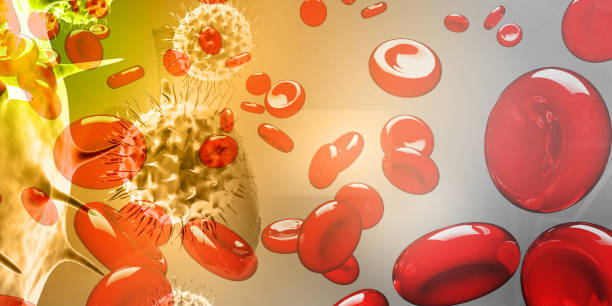 上海有哪些醫(yī)院開展了干細胞治療血液病與腫瘤的研究？