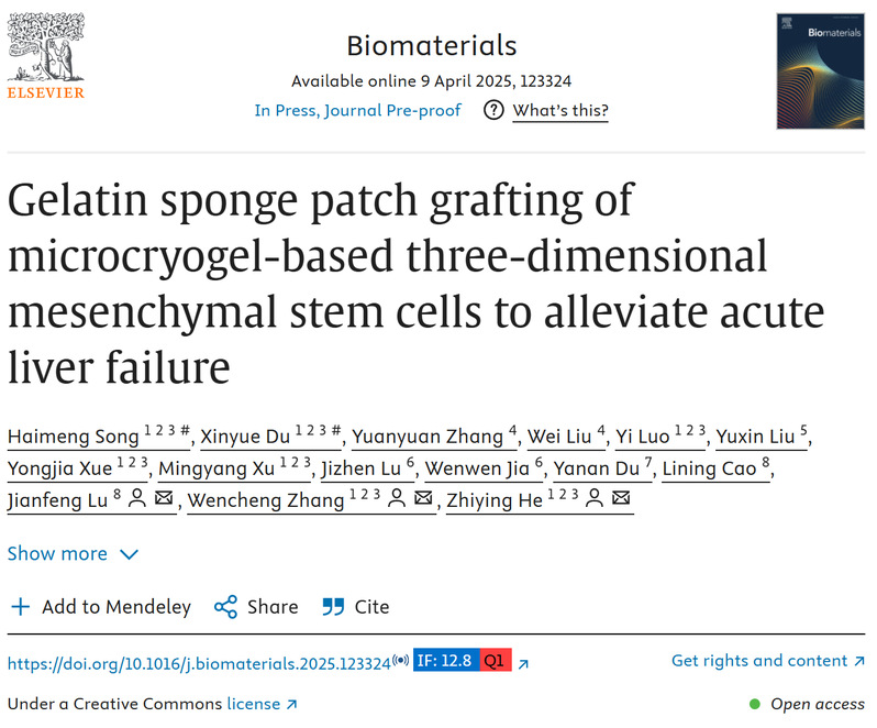 明膠海綿貼片移植微低溫凝膠基三維間充質(zhì)干細胞以緩解急性肝衰竭