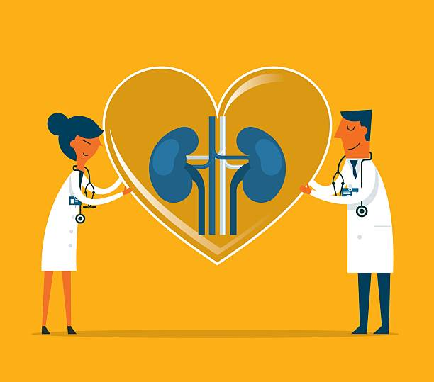 慢性腎病治療指南：7種最新治療方法突破（截至2025年7月）