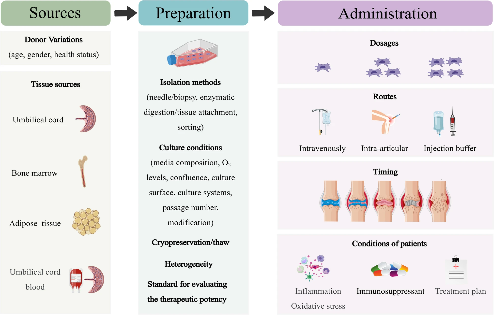 圖6：MSCs在類風(fēng)濕性關(guān)節(jié)炎的臨床應(yīng)用中，需要精確地標(biāo)準(zhǔn)化參數(shù)。