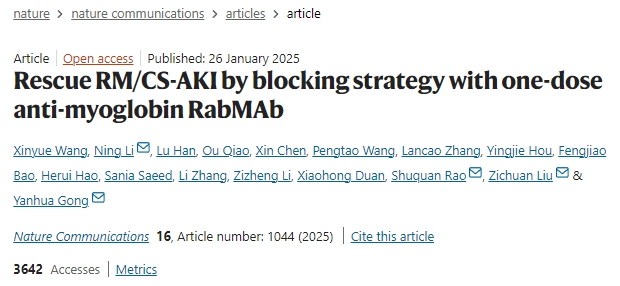 通過單劑量抗肌紅蛋白R(shí)abMAb阻斷策略挽救橫紋肌溶解癥或擠壓綜合征相關(guān)急性腎損傷