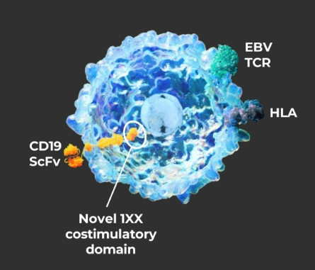 ATA3219設(shè)計圖 ATA3219設(shè)計圖