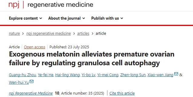 外源性褪黑素通過調(diào)控顆粒細胞自噬緩解卵巢早衰的機制研究 外源性褪黑素通過調(diào)控顆粒細胞自噬緩解卵巢早衰的機制研究