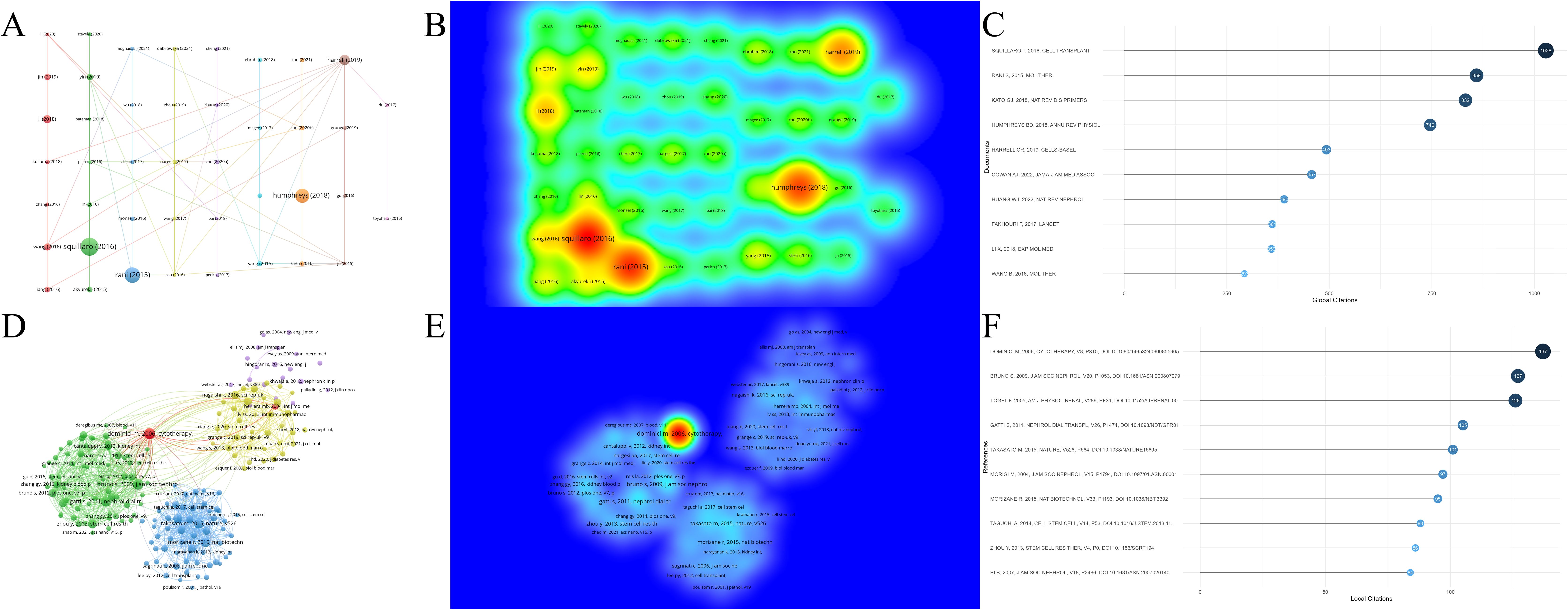 圖7：腎臟疾病干細(xì)胞治療研究中被引文獻(xiàn)及參考文獻(xiàn)分析。